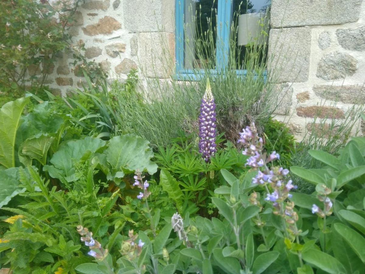 Belle Maison Renovee, Hameau Calme, 600 M De Locronan, Finistere Sud Exterior foto